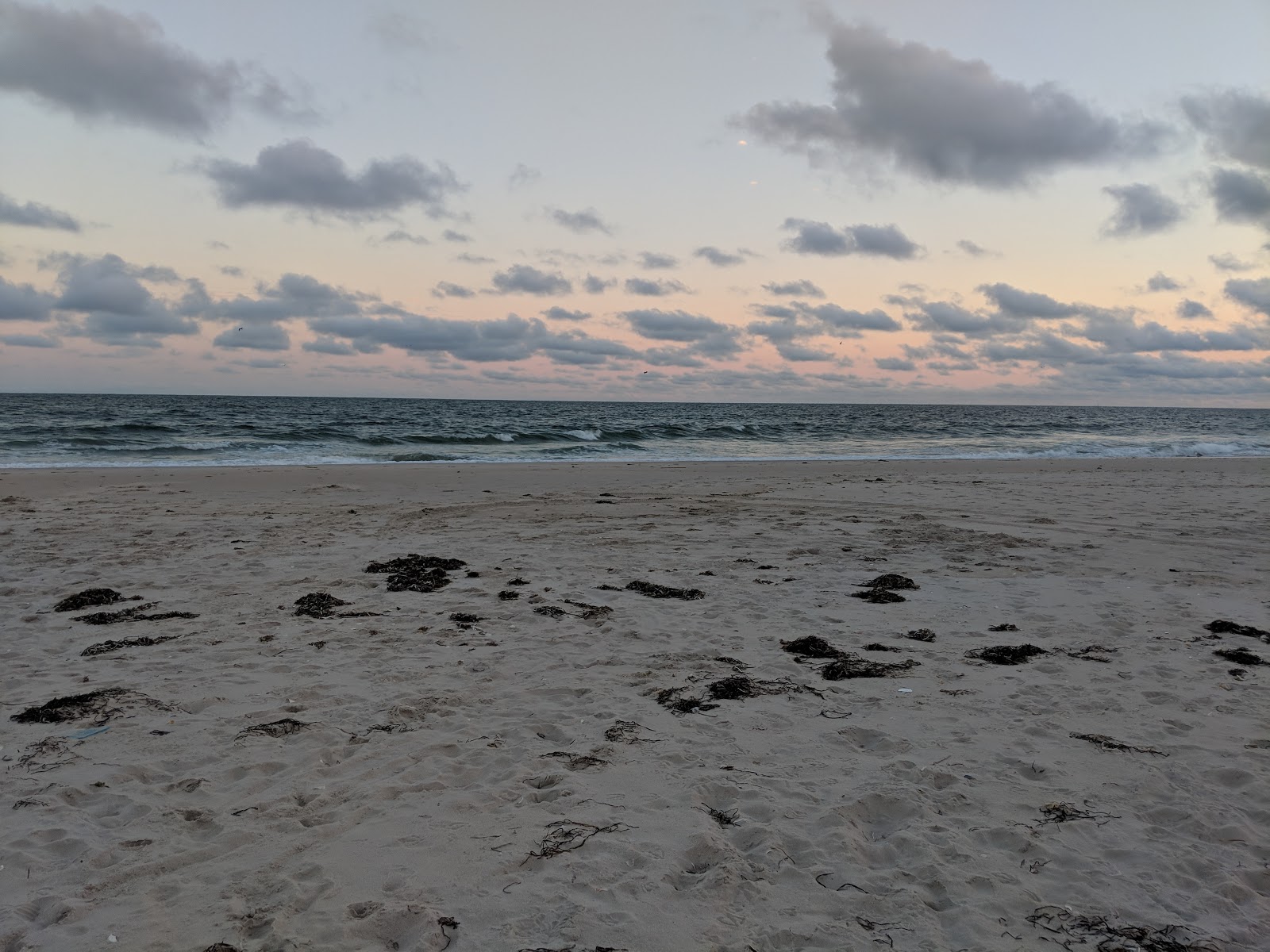 Cupsogue Beach County Park