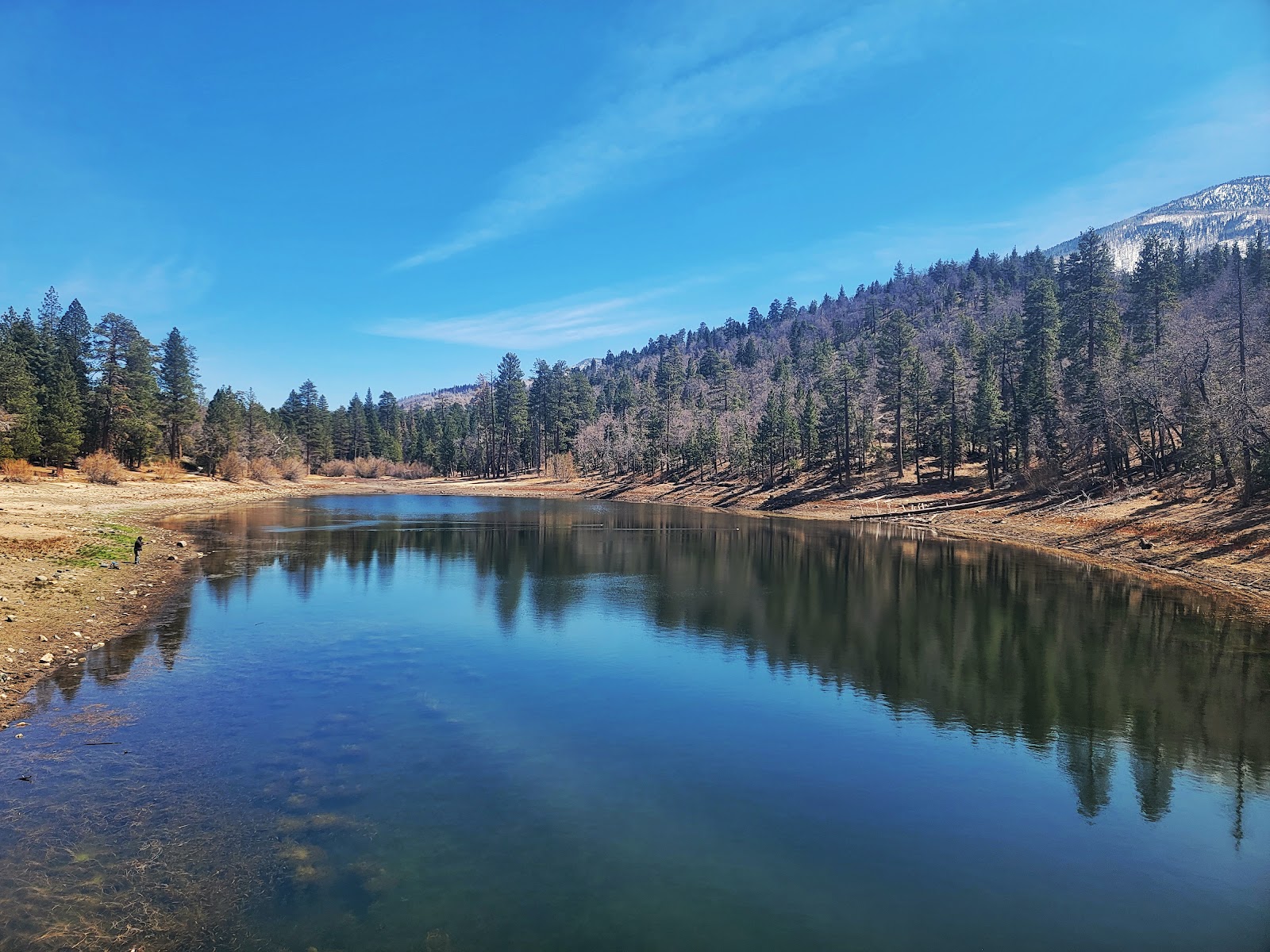 Barton Flats Campground