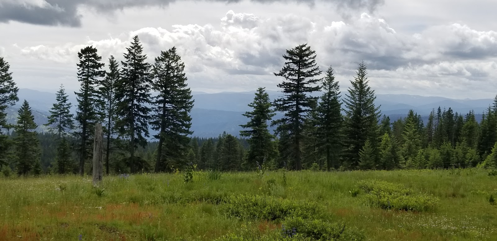 Fish Creek Campground