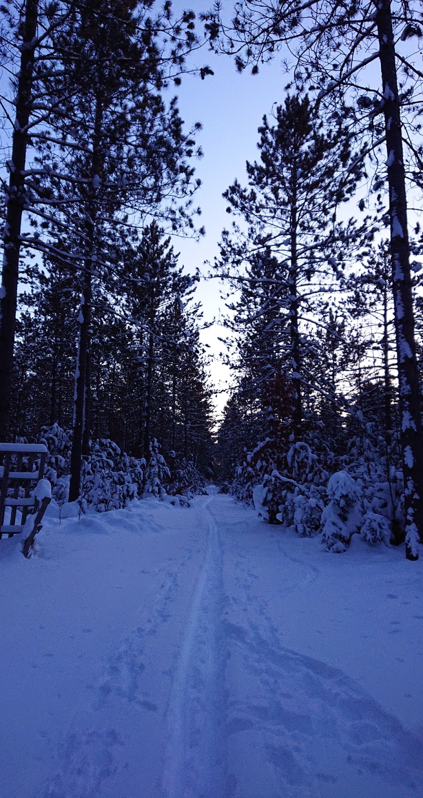 Timberline RV Resort