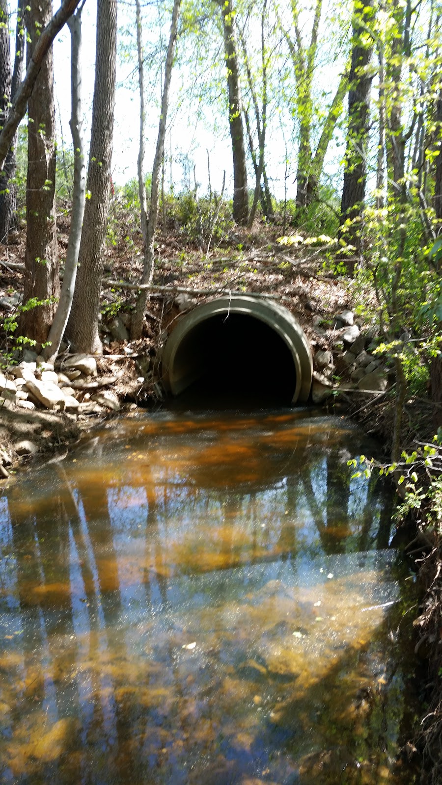 GNP--SATILLA RIVER VACATIONLAND
