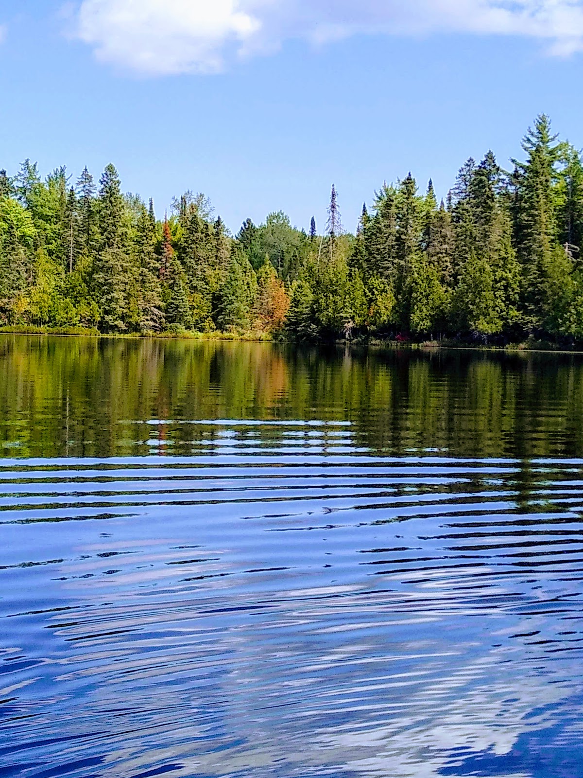 Henry Lake NF Campground
