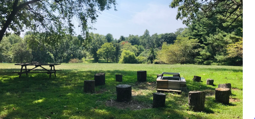 Mother Earth Organic Farm Camping