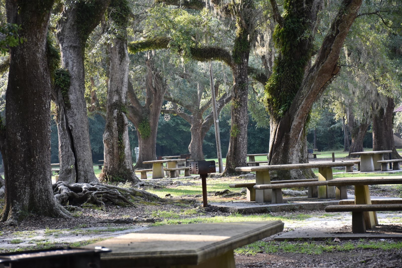 McLeod Park Campground