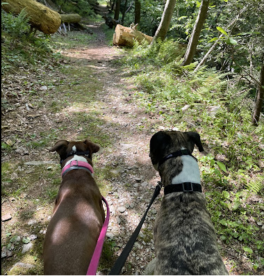Otter Creek Campground