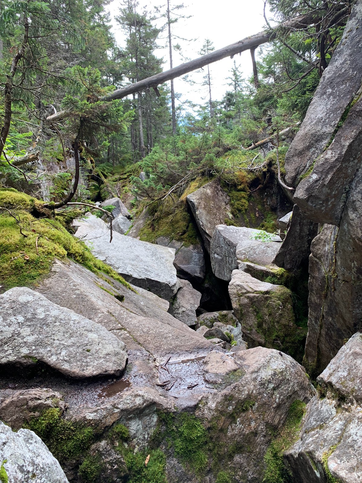 Mahoosuc Public Reserved Land