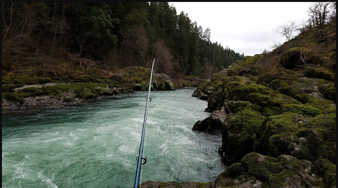 Timber River RV Park