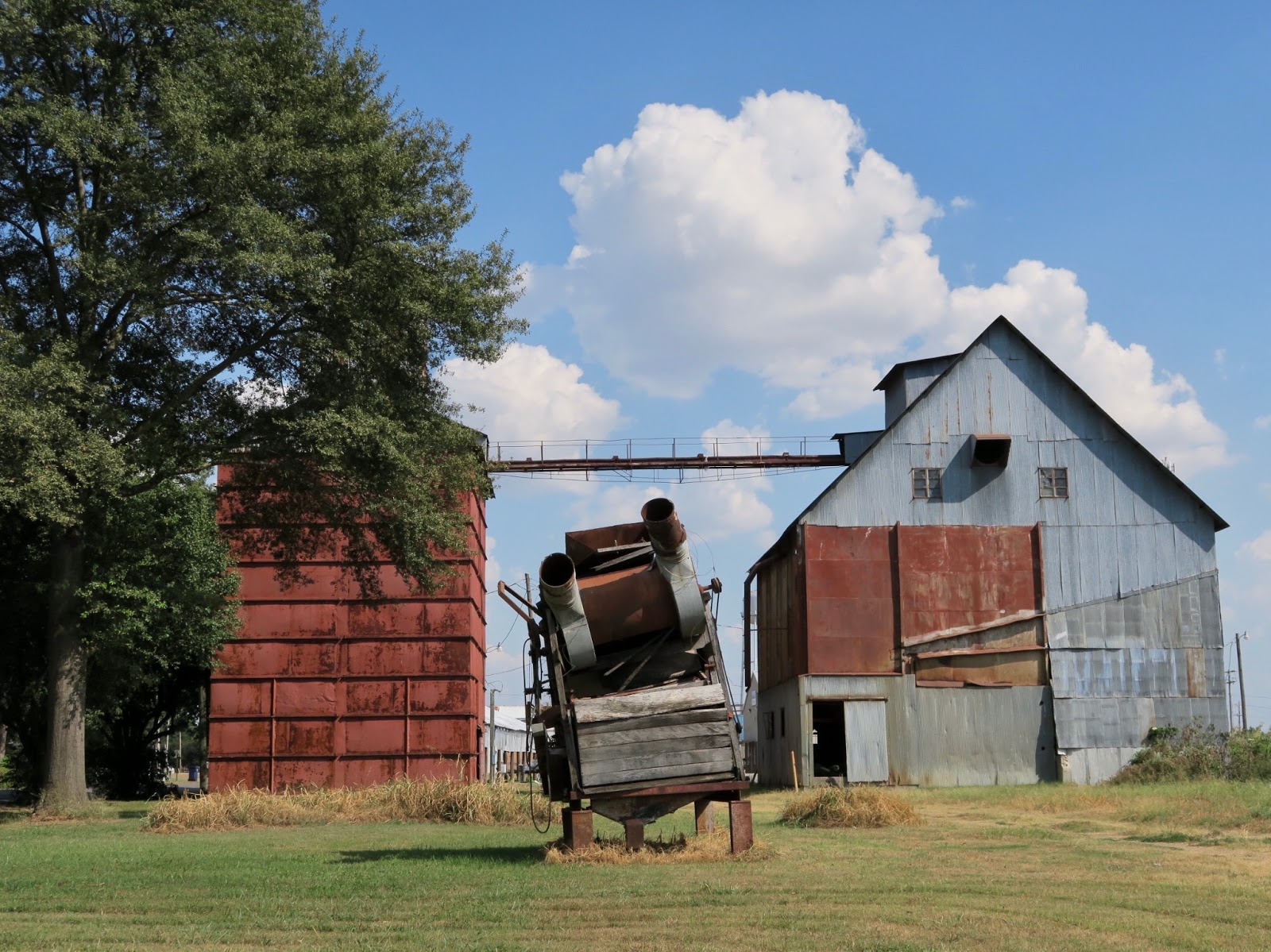 Willie's Last Resort