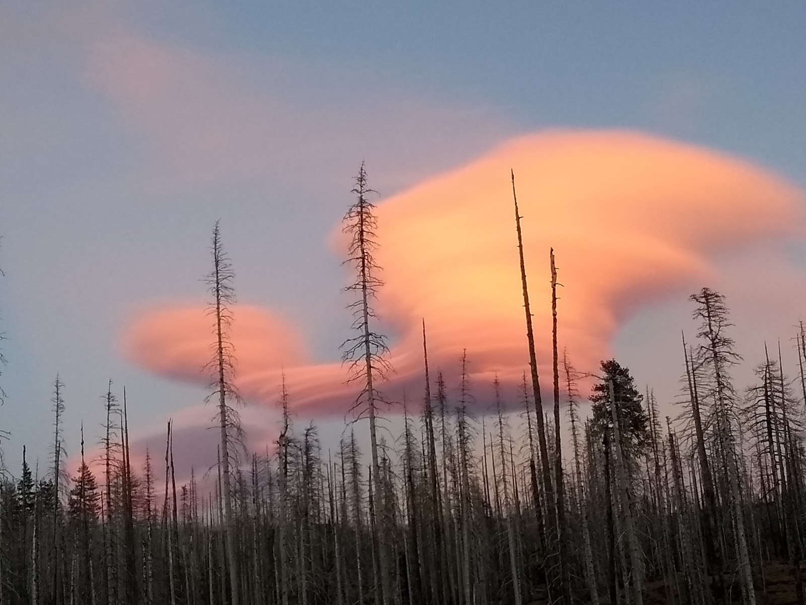 Morrison Creek Campground