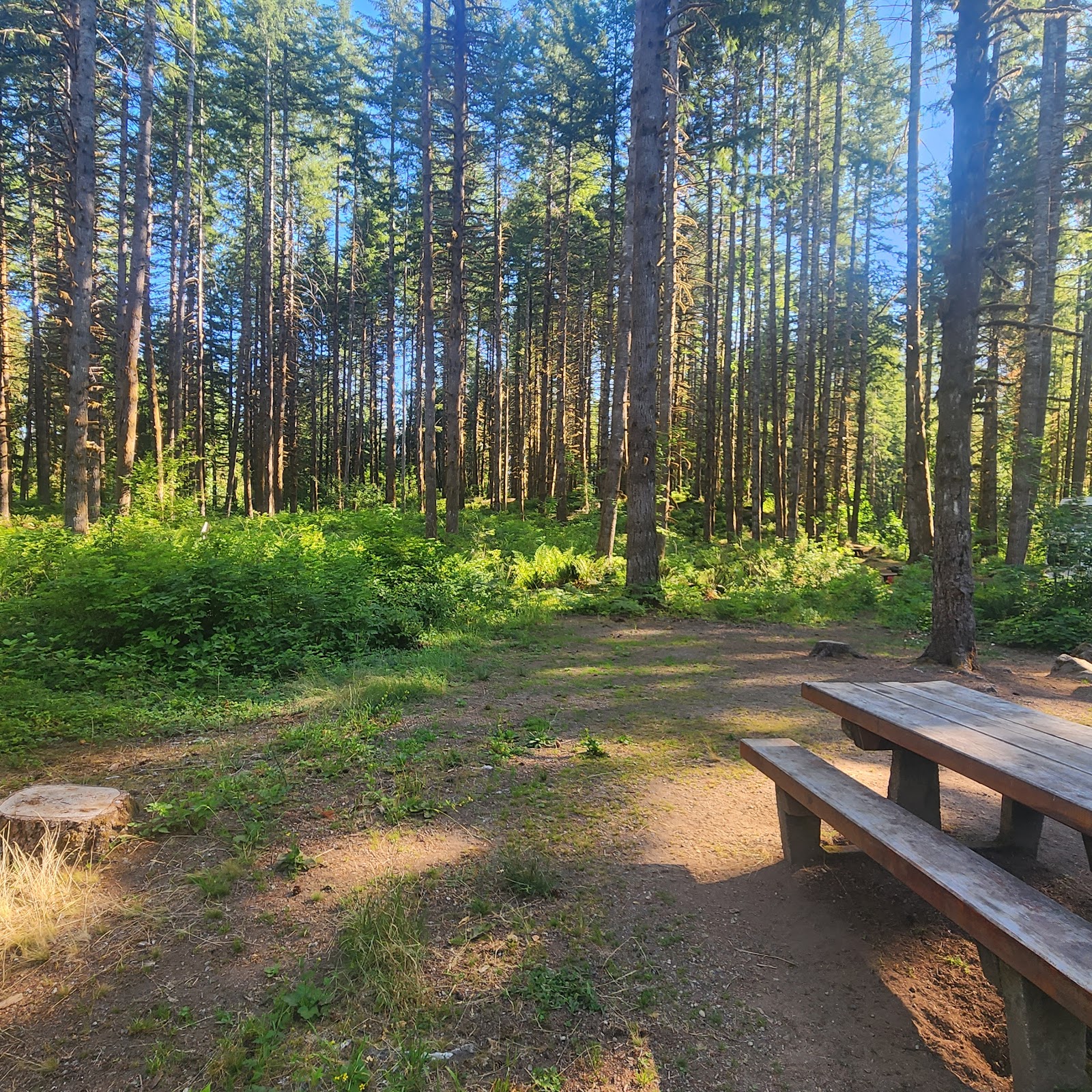 Horseshoe Cove Campground