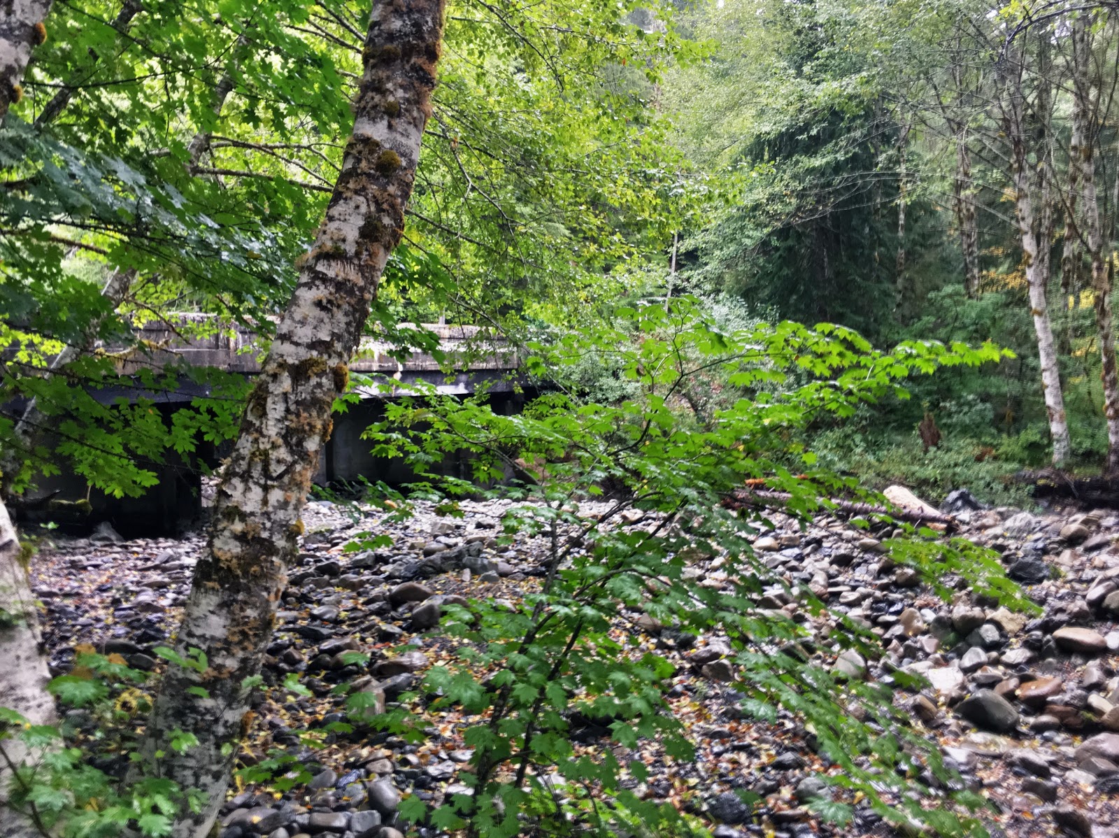 Beaver Creek Group Campground