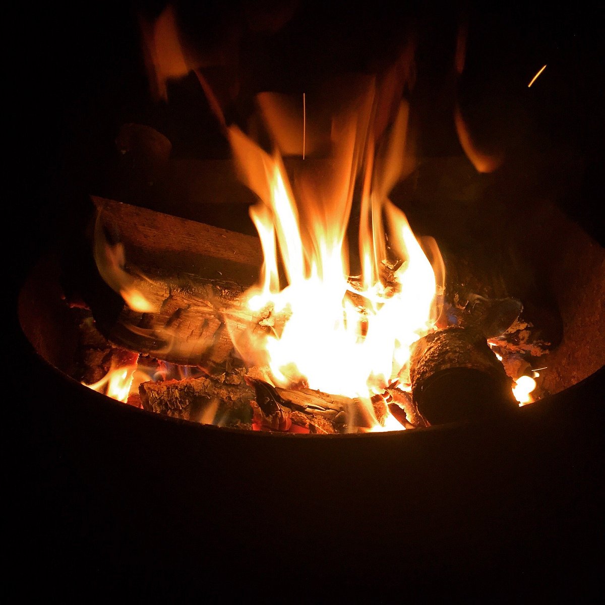 Milo McIver State Park