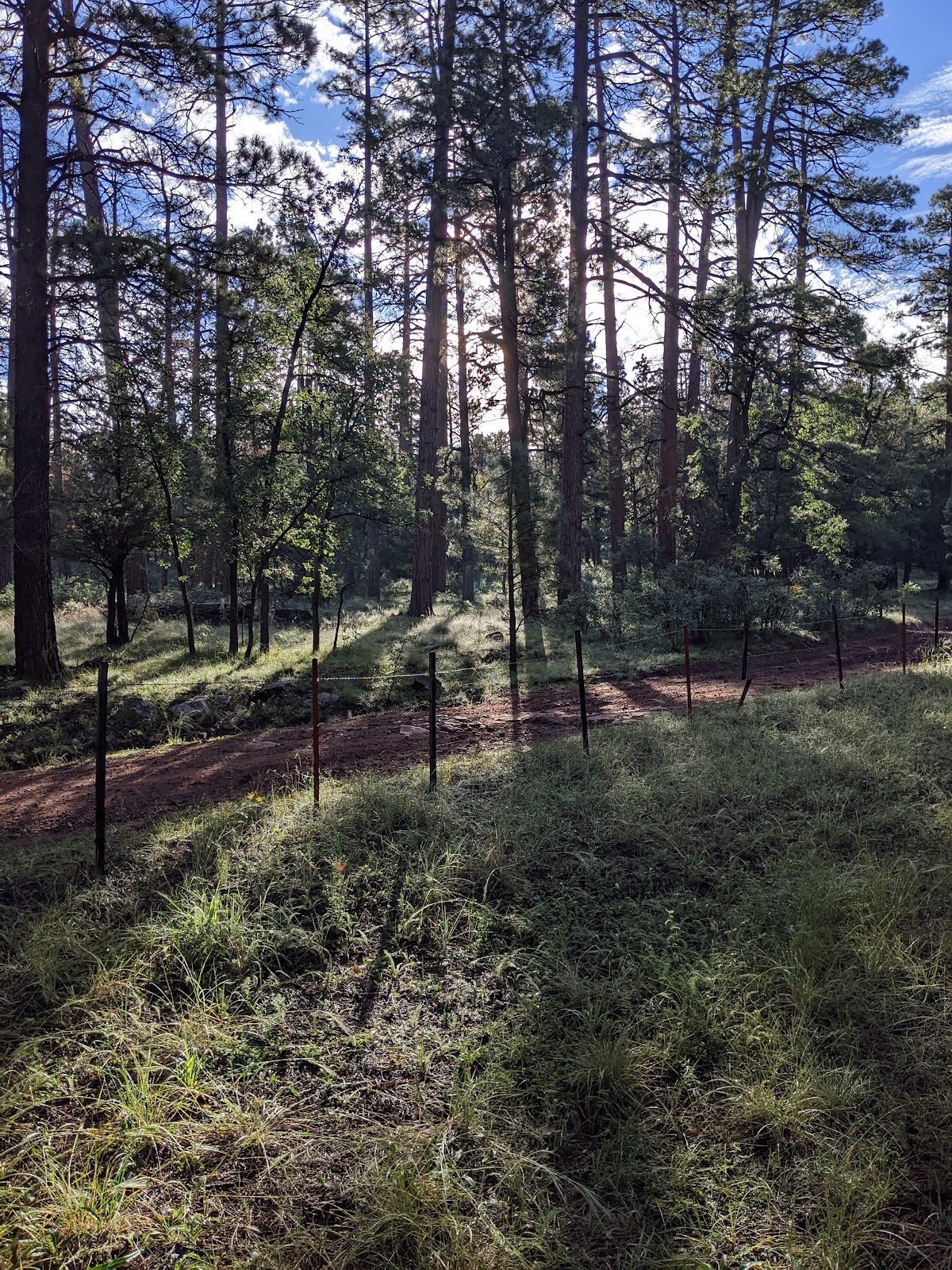 Blue Ridge Campground