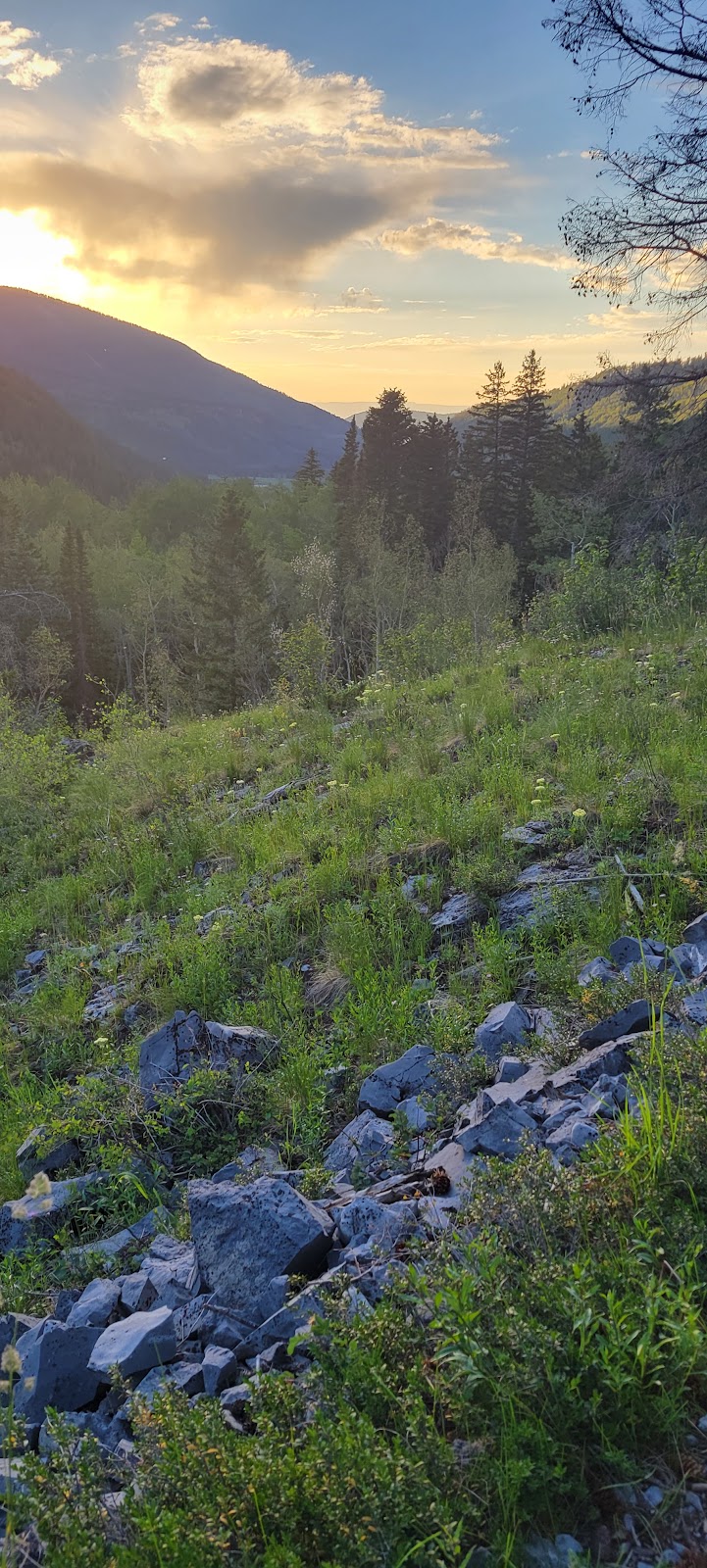 Fulford Cave Campground