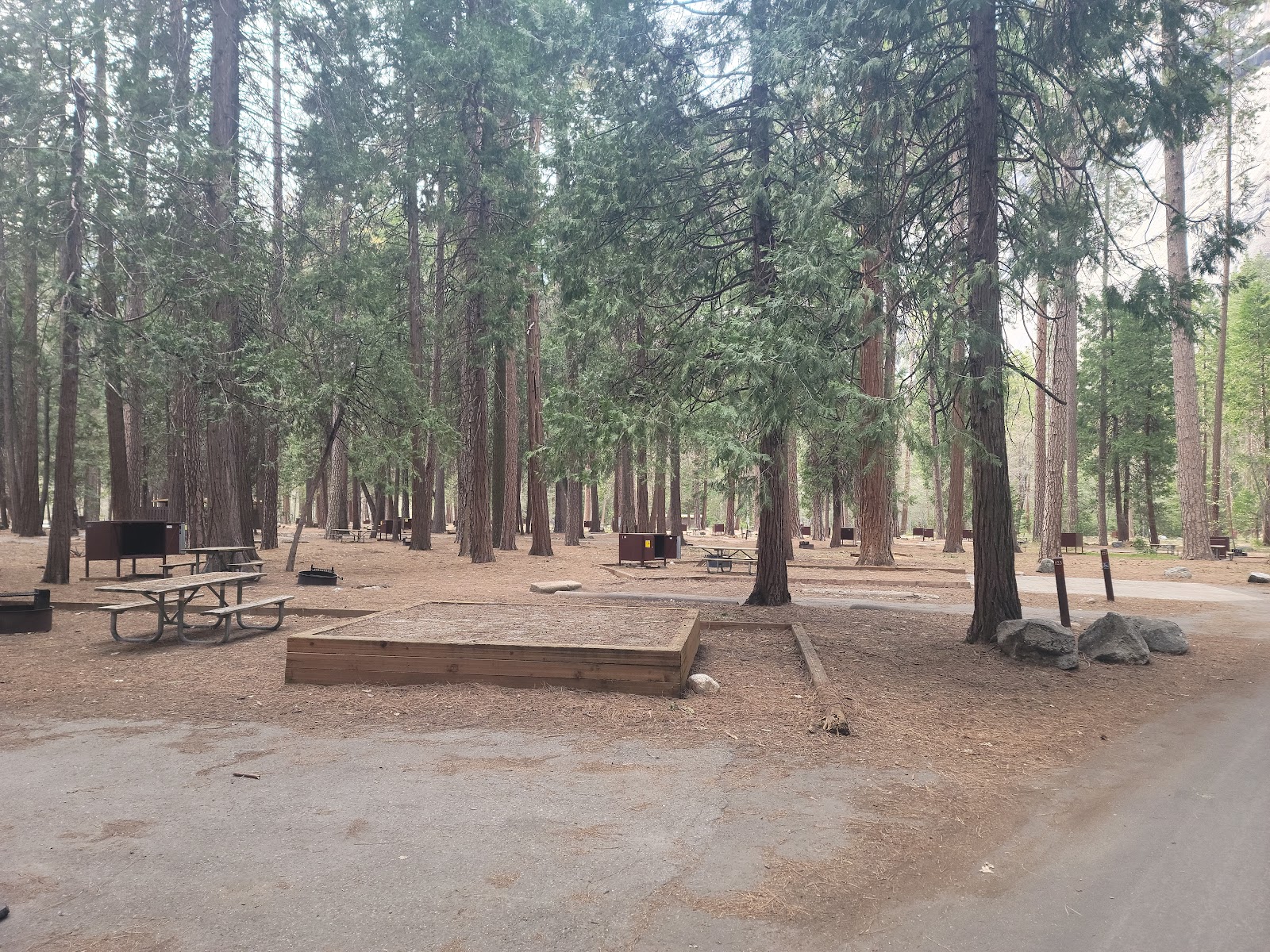 North Pines - Yosemite National Park