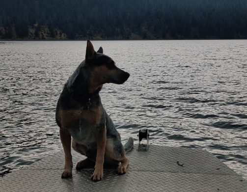 East Lake Resort and RV Parks