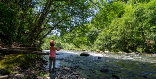 Breitenbush Campground