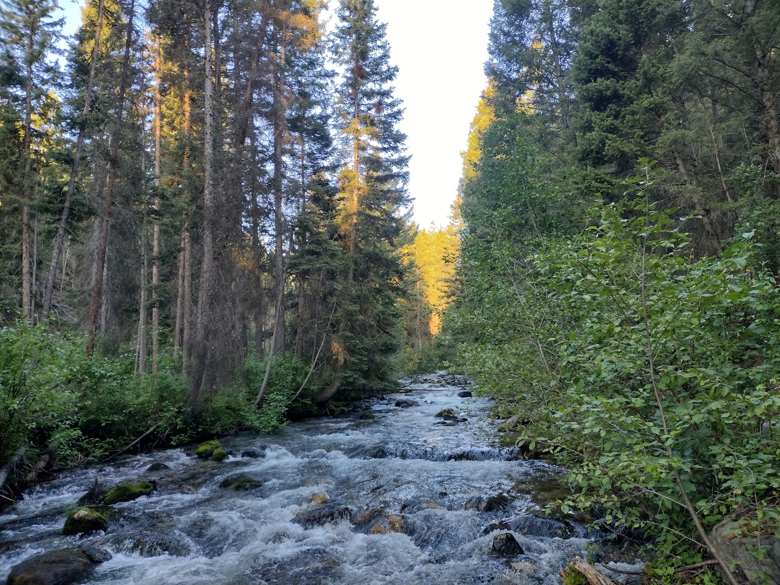 Racetrack Campground and Picnic Area