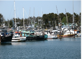 GNP--SUNSET HARBOR RV PARK