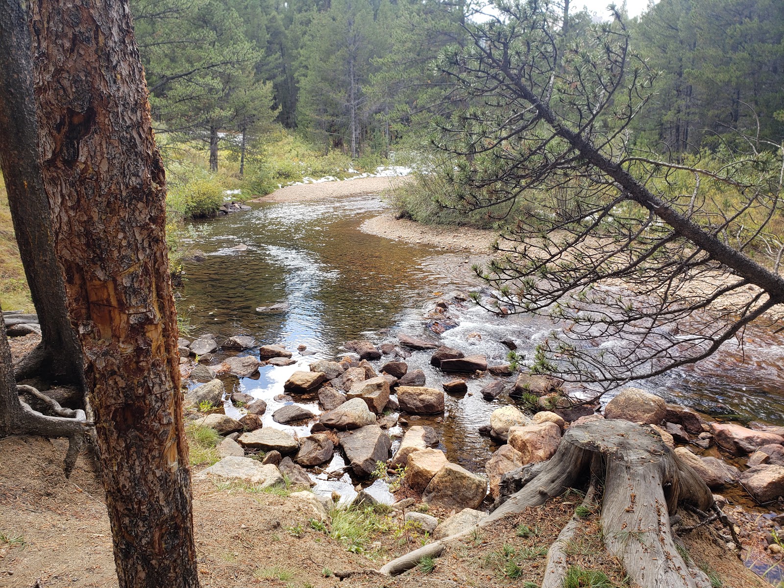 Elbert Creek Campground