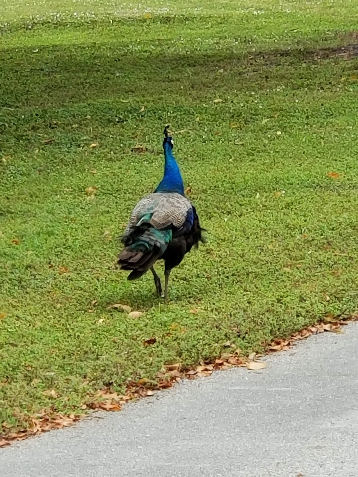 C.B. Smith Park Campground