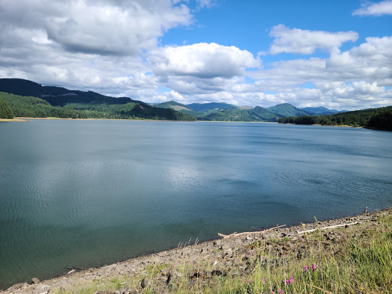 COE Dorena Reservoir Schwarz Campground