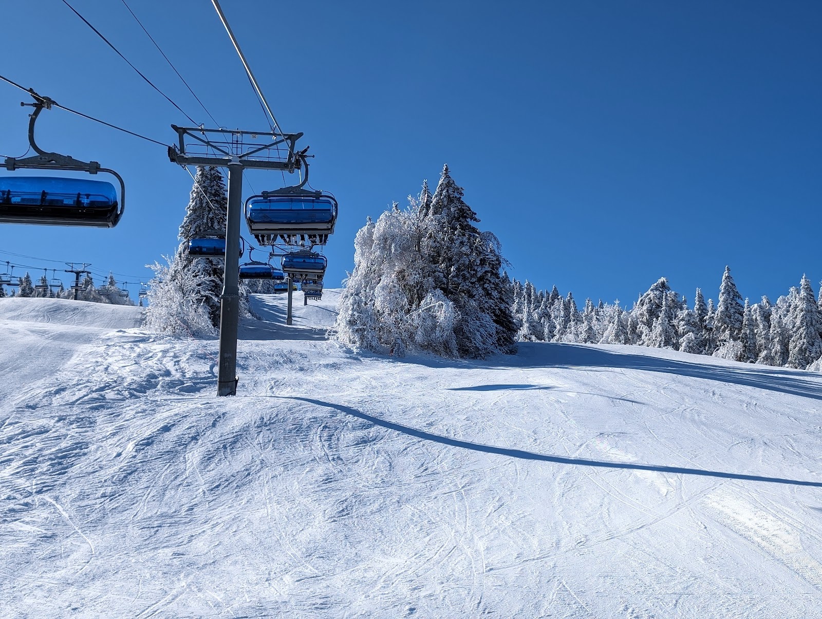 Steam Mill Clearing Forest Camping