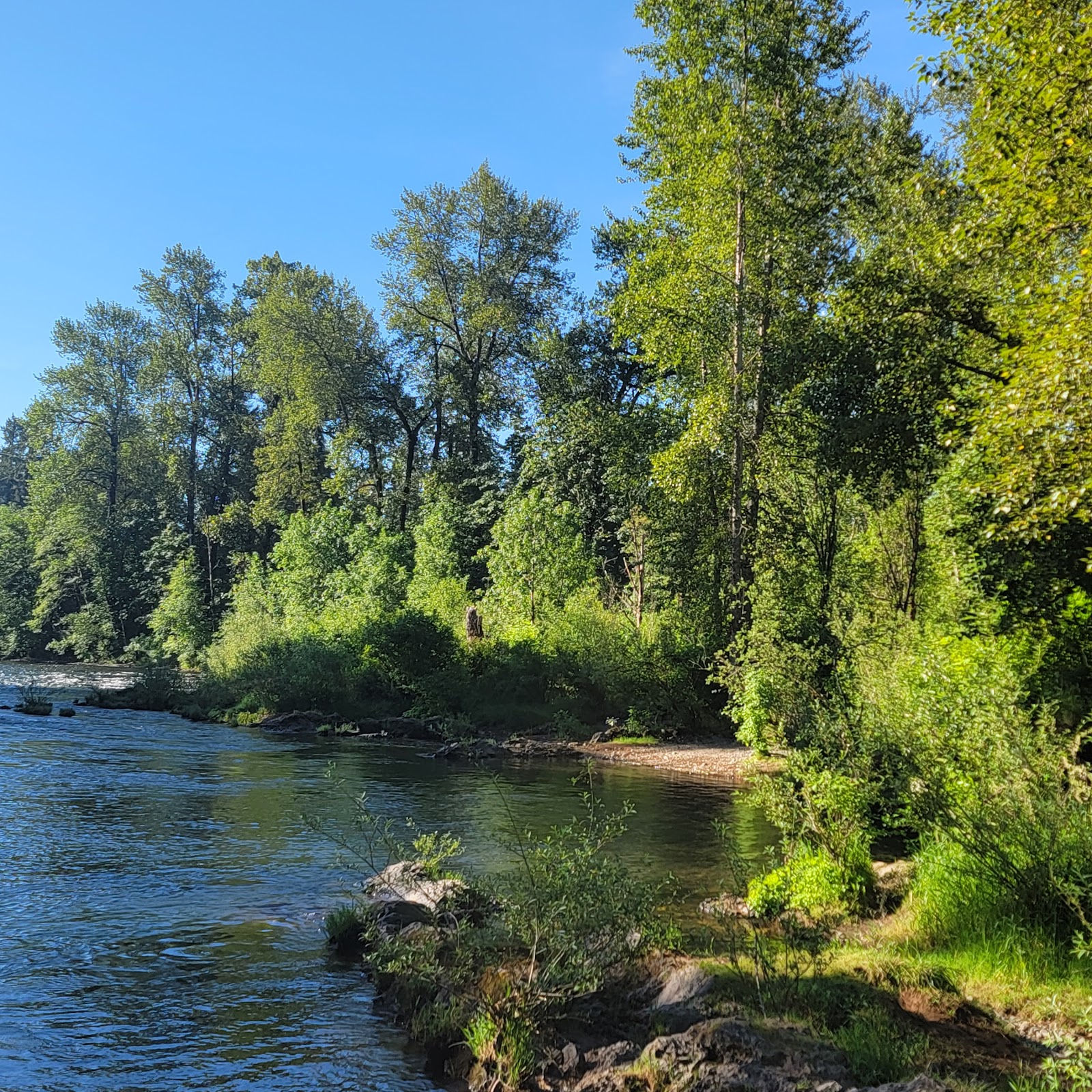 Waterloo County Park