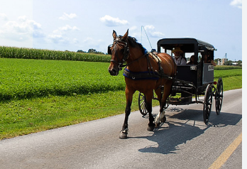 Whitewater Challengers