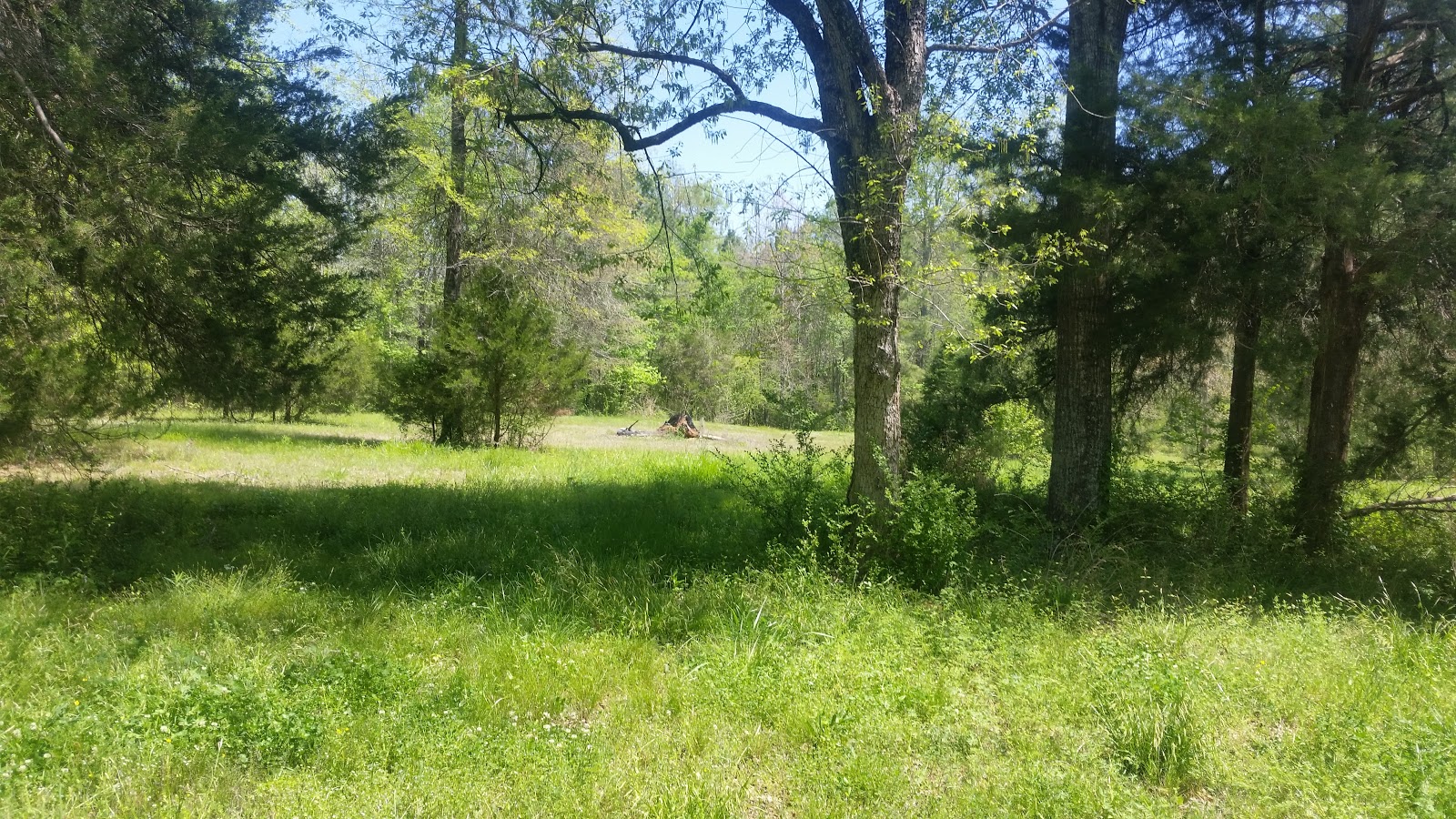 Stinkin' Jim's Horse Camp