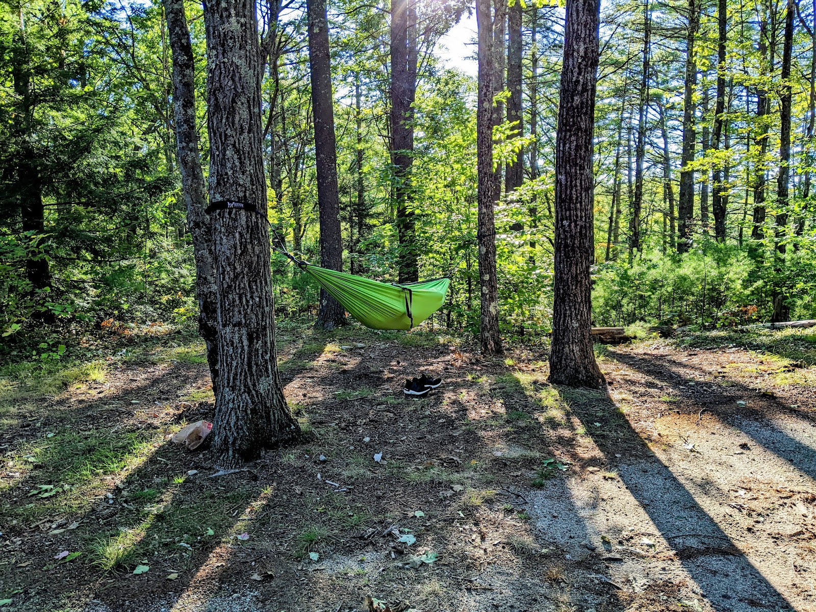 Greenfield State Park Campground