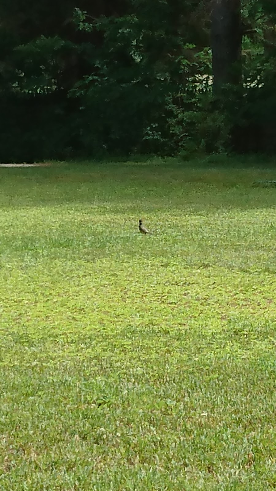 Tippicanoe Campground