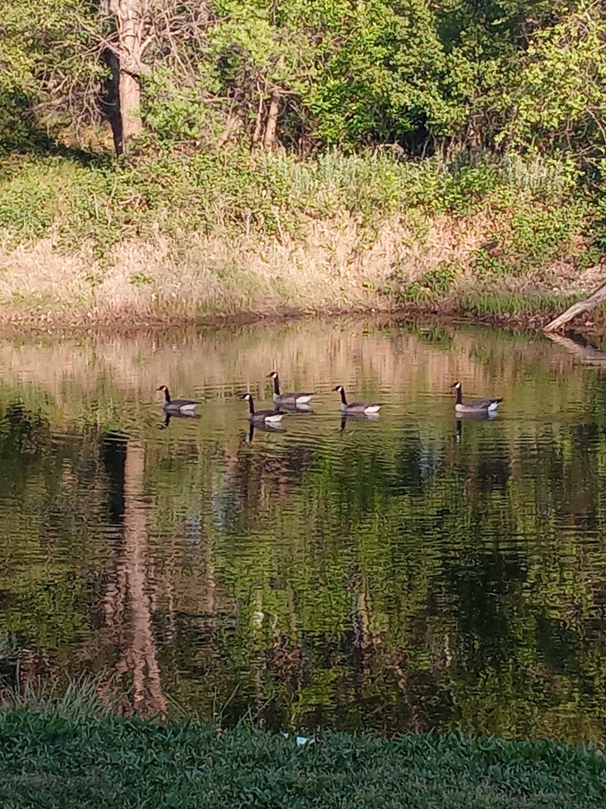 Sycamore Ranch RV Park & Campground