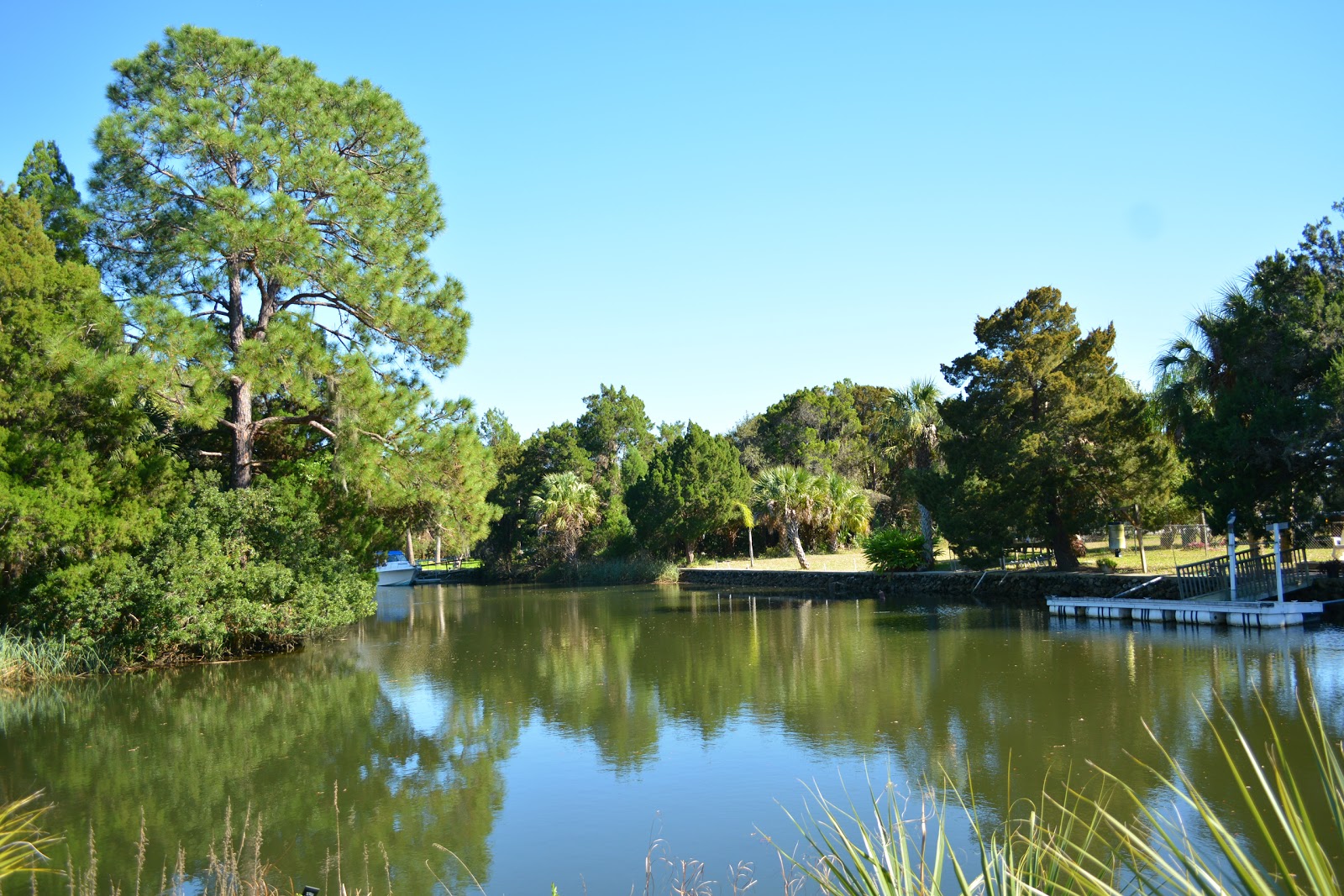 Elite Resorts at Crystal River