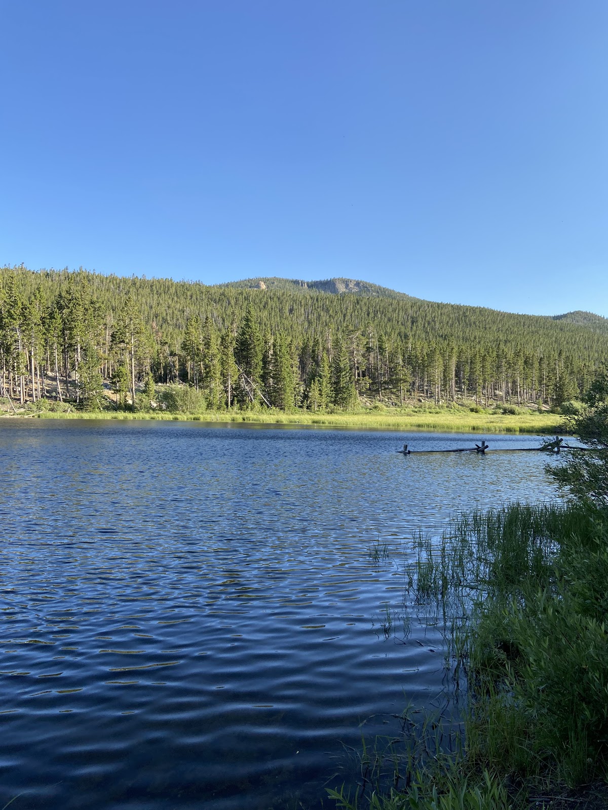 Worthen Meadow Campground