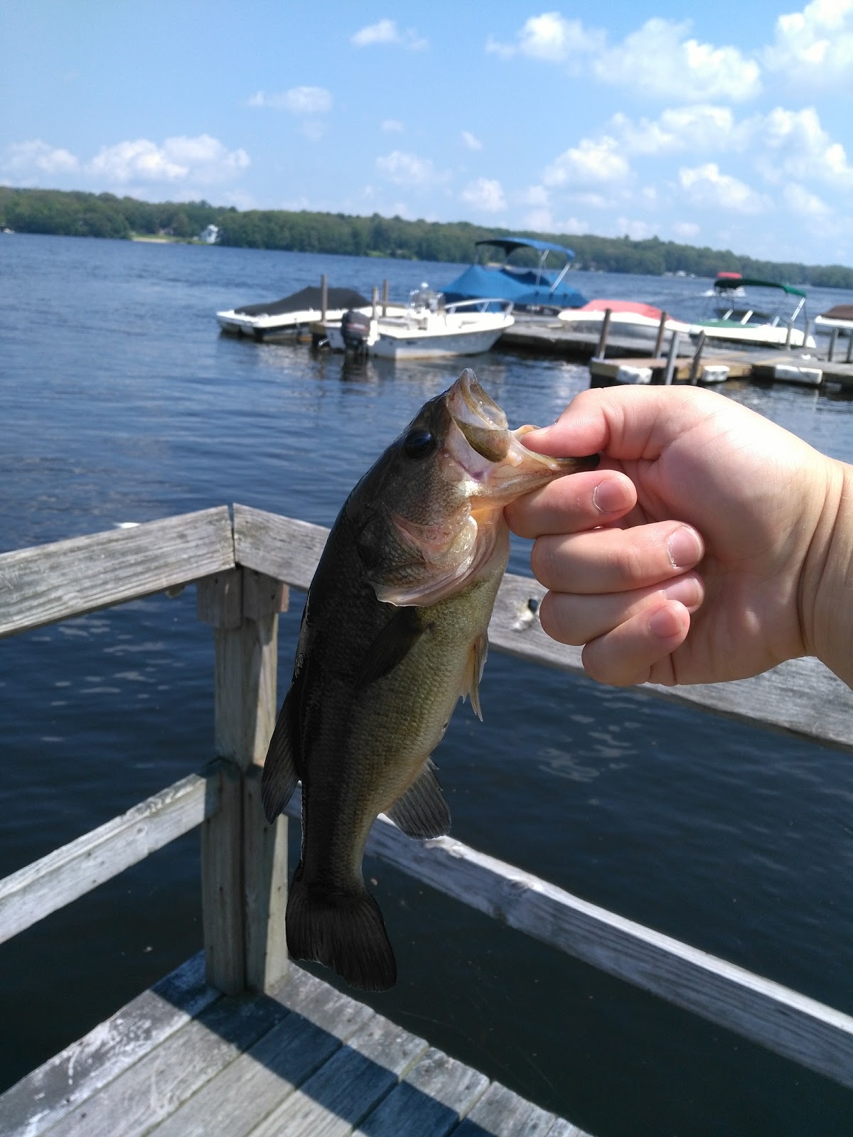 Indianfield Campground at Gardner Lake