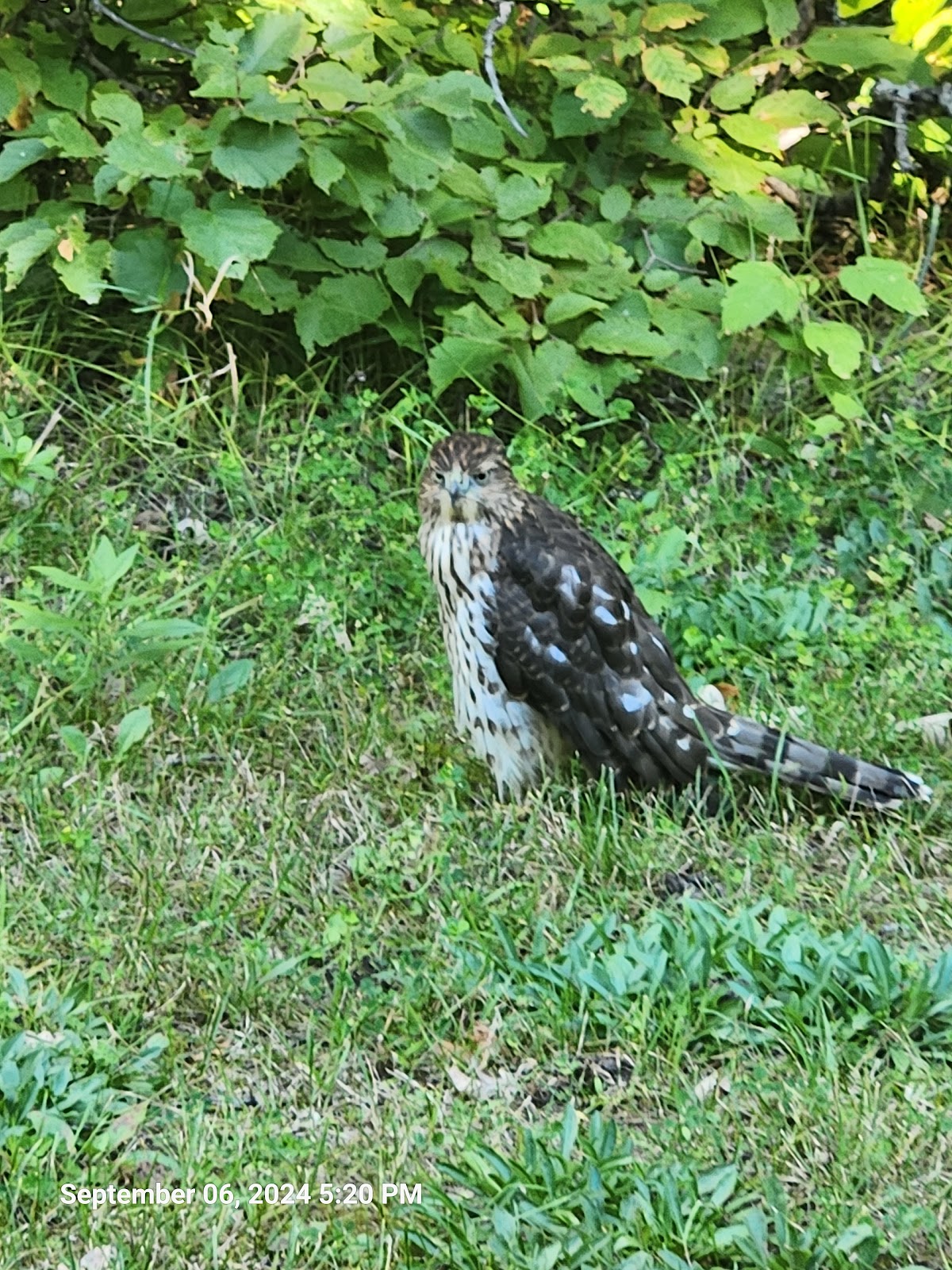 Two Rivers - Lake Bronson State Park