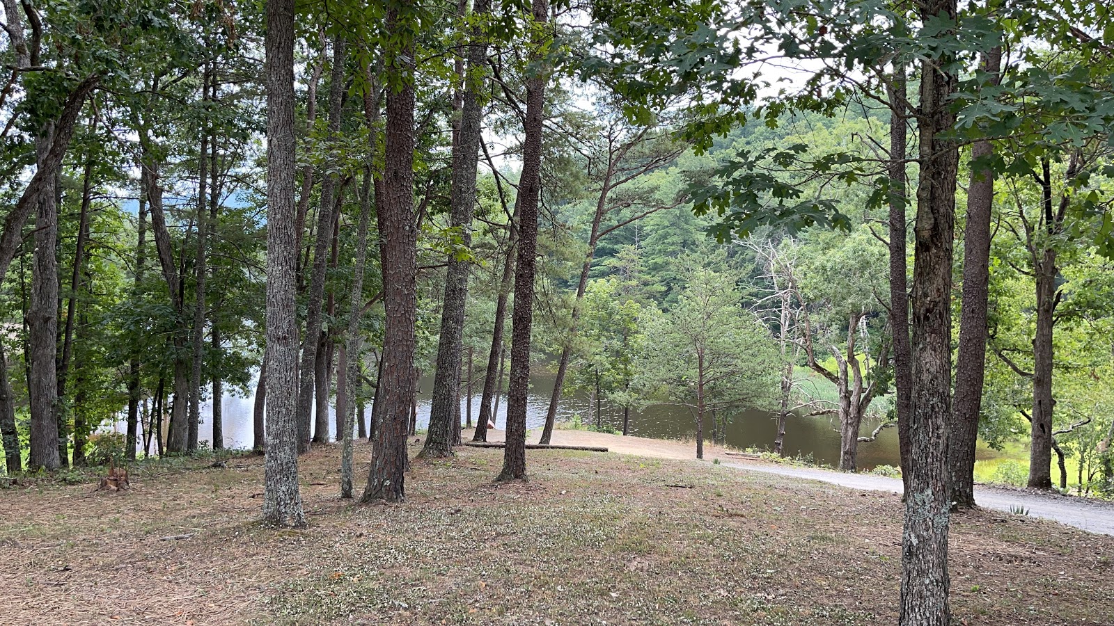 Cold Sulphur Camp Ground