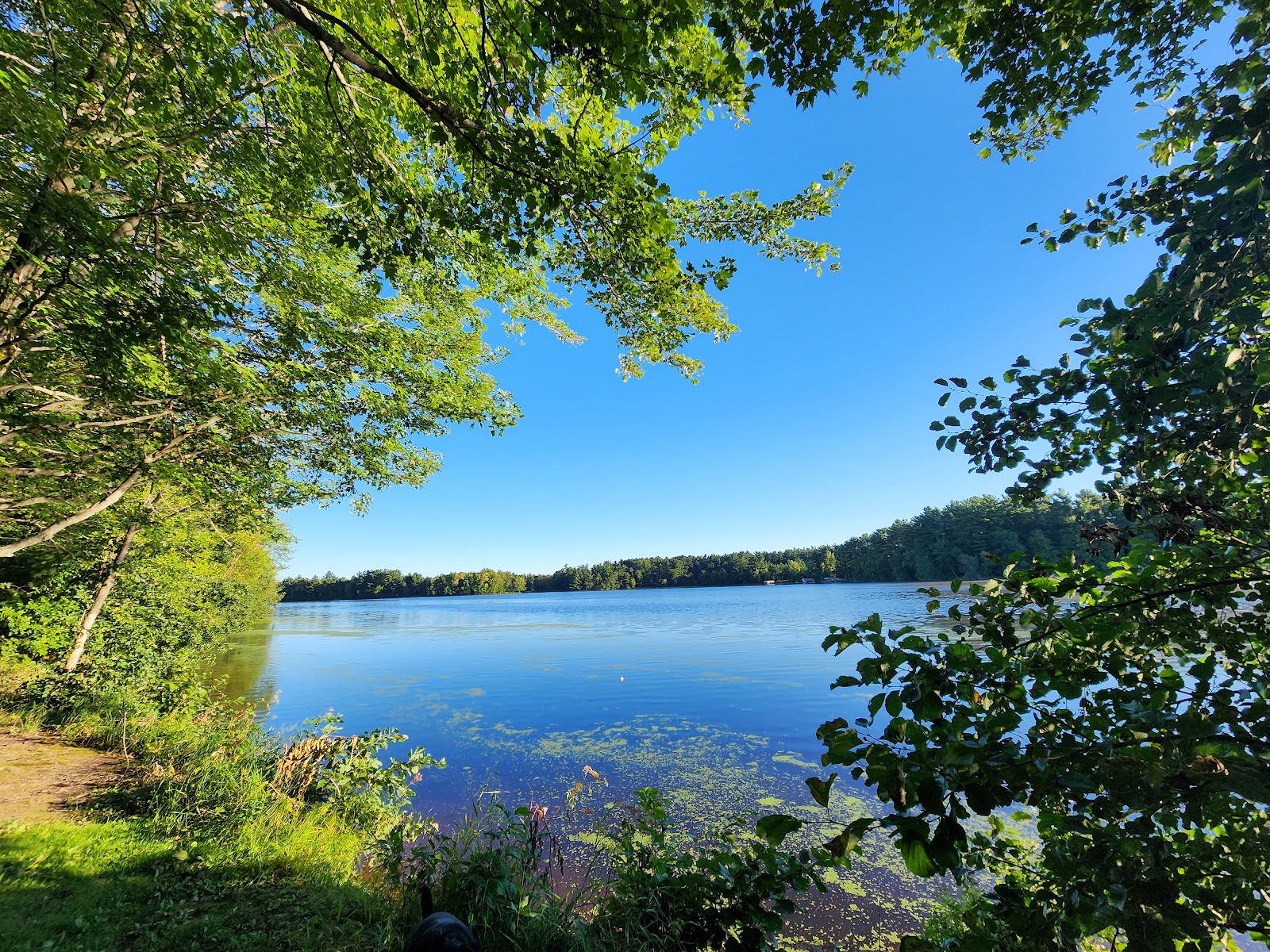 Lake Dubay Park campground