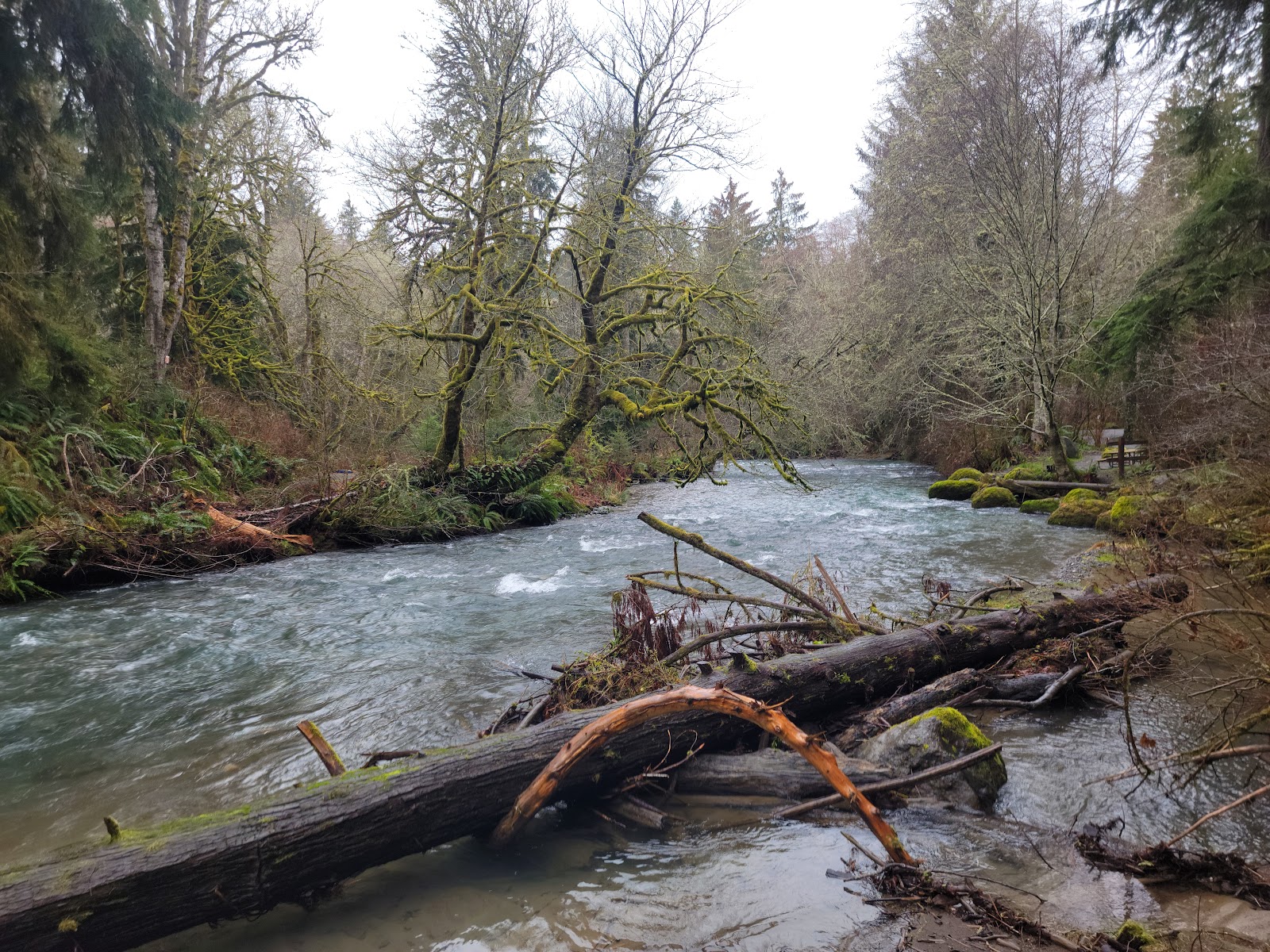 Lyre River Campground