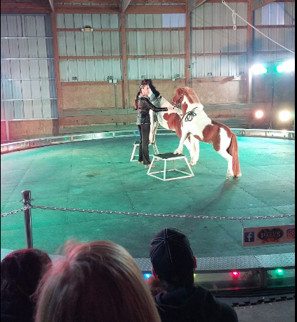 Boone County Fairgrounds Campground