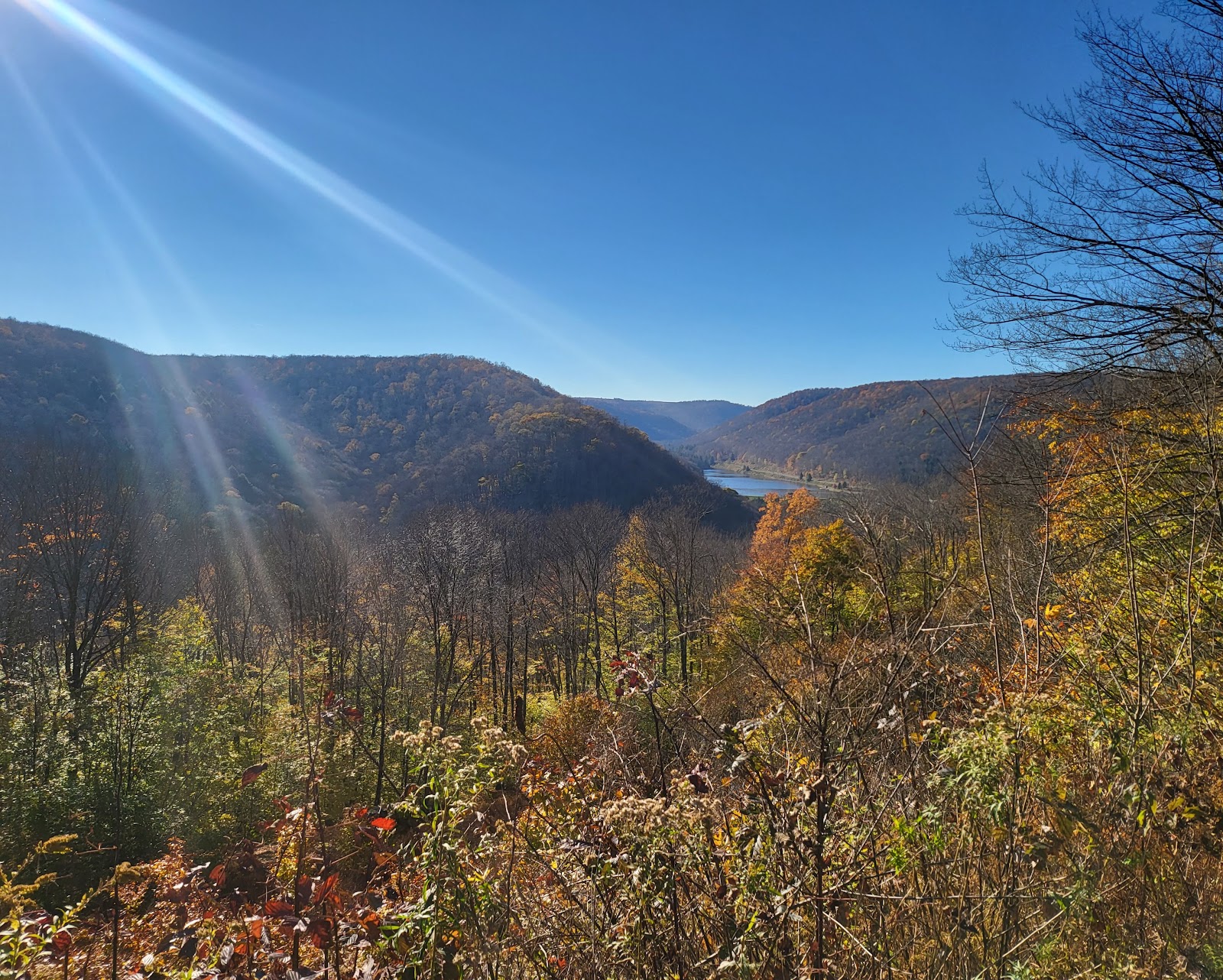 Lyman Run State Park