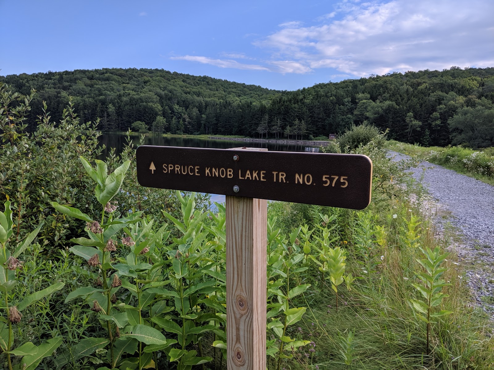 Spruce Knob Lake NF Campground