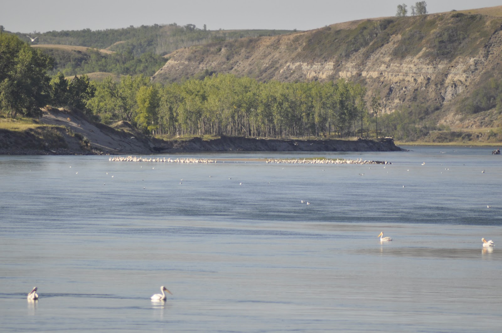 Downstream Lake Sakakawea