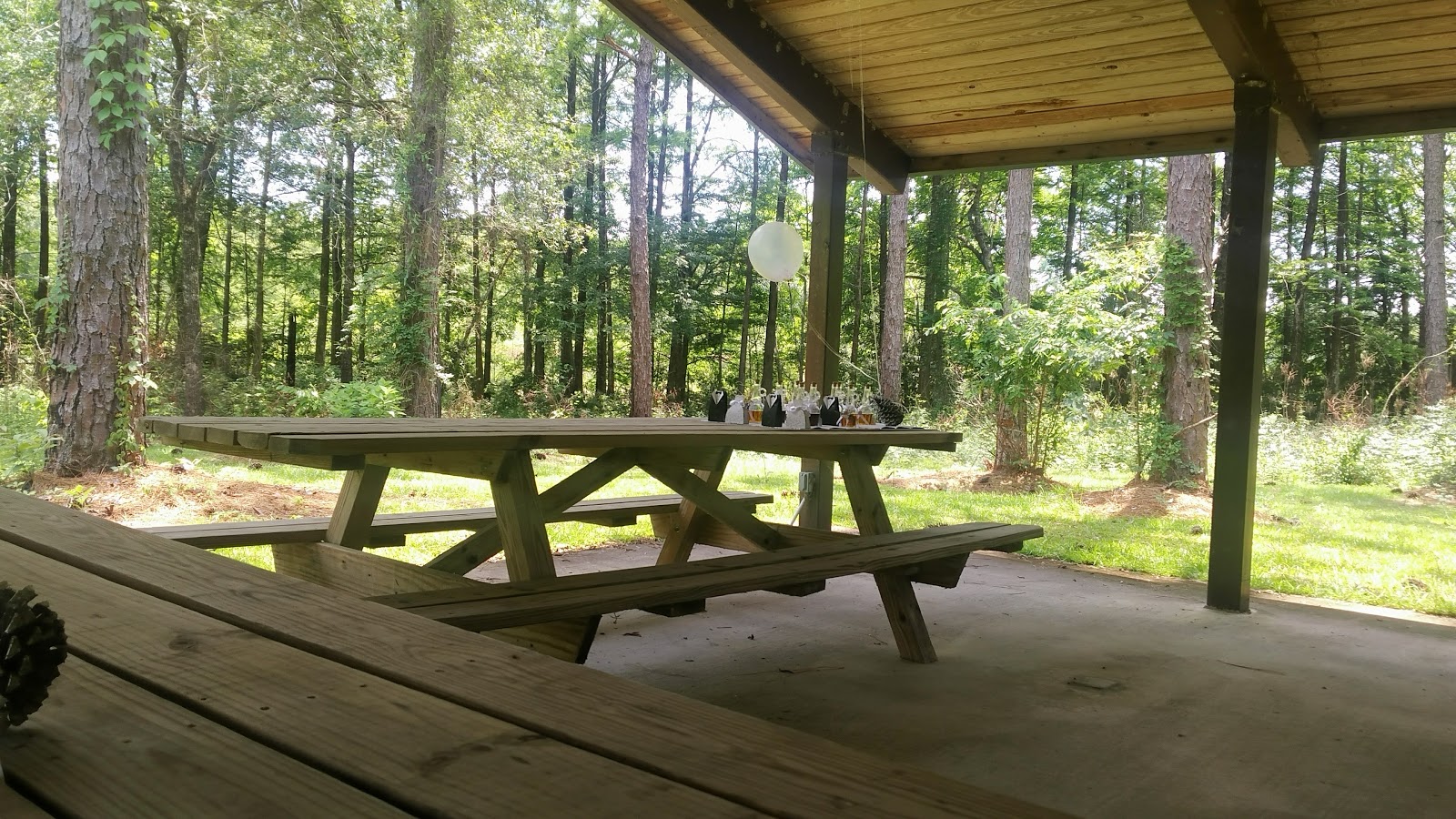 Spring Creek Park & RV