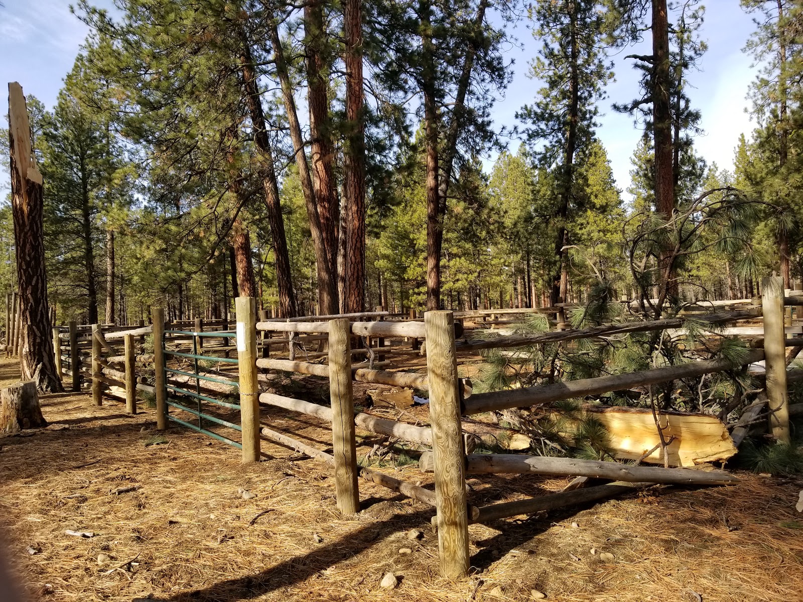 Sisters Cow Camp Horse Camp