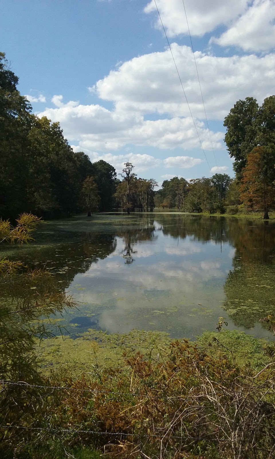 Morgans’ Landing & RV Park