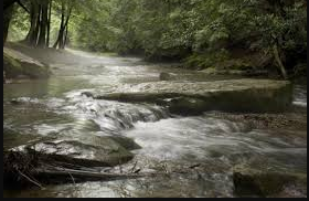 Cooks Forest Locust Lodge Campground