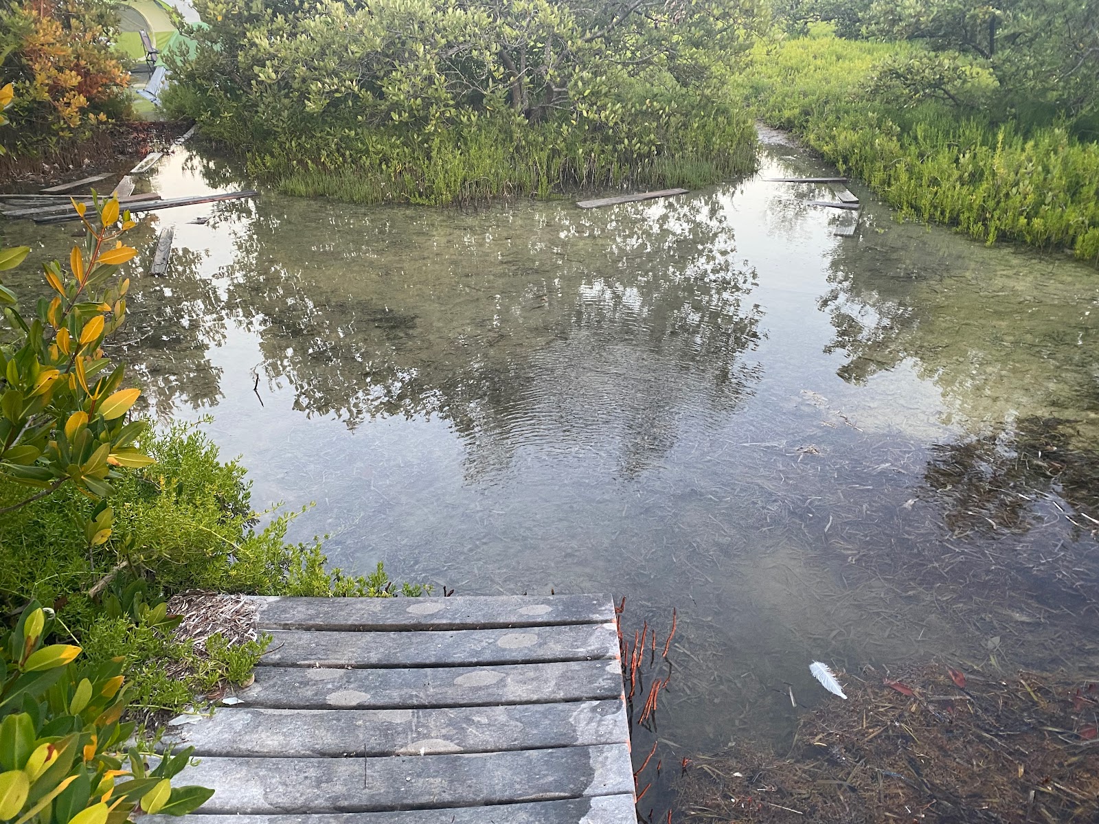 Backcountry Little Rabbit Key - Everglades National Park