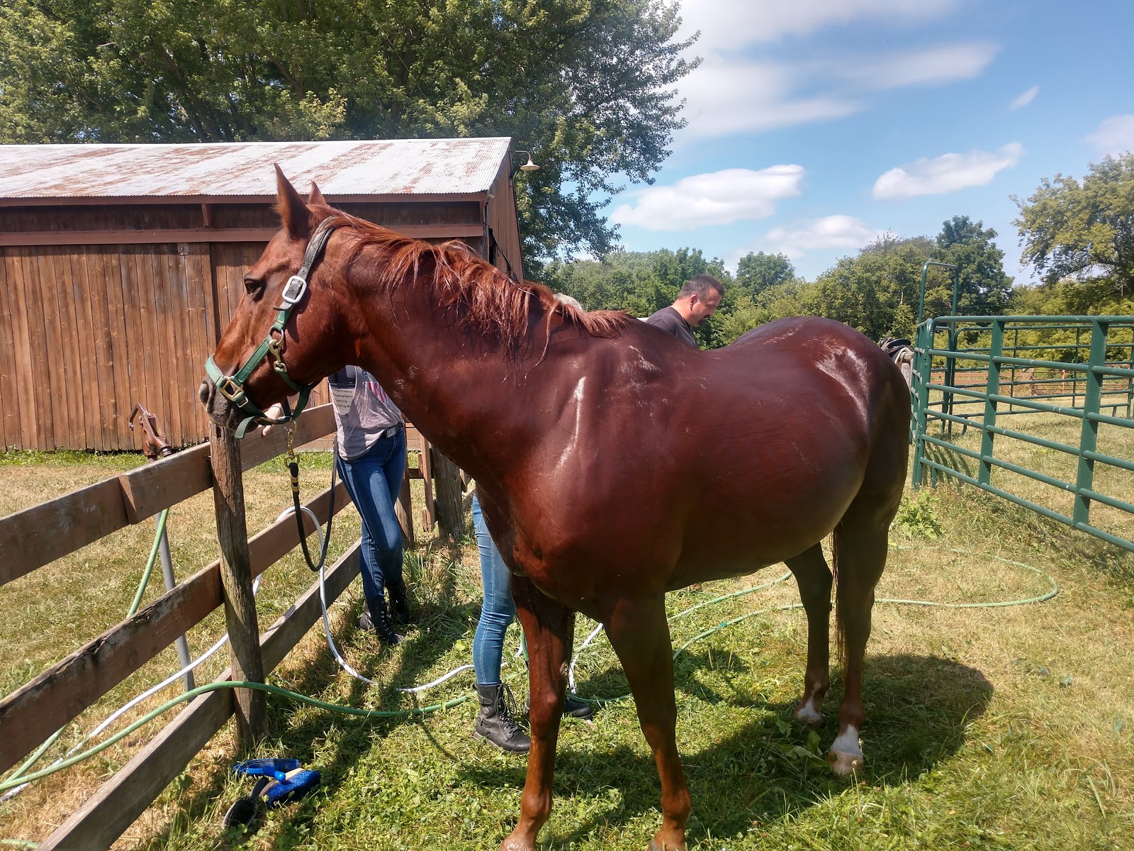 Hansen's Hide Away Ranch & Family Campground